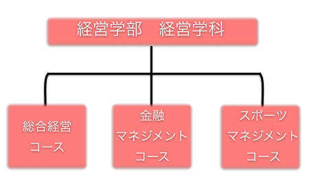 経営学部コース紹介 経営学部コース紹介