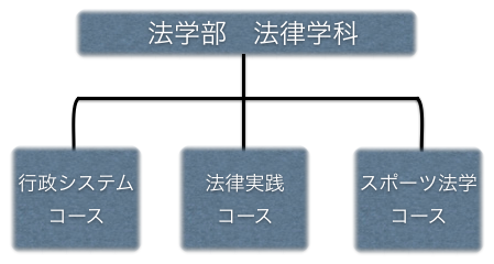 法学部図1 コース