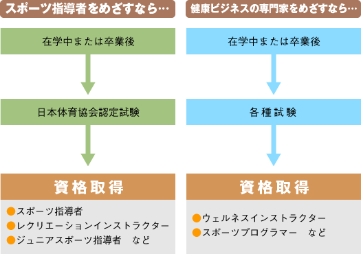 法学部 スポーツ法学 経営学部 スポーツマネジメント 宮崎産業経営大学